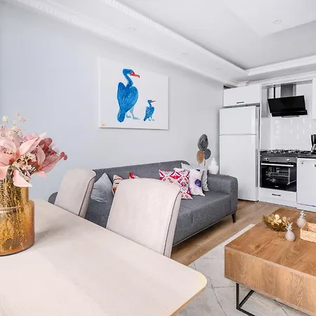 Apartment New Building In Sisli - 1gbps Wifi - Ac - Elevator Istanbul